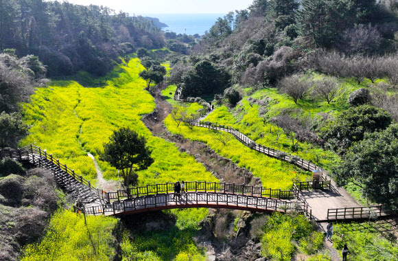 봄기운 가득한 엉덩물 계곡