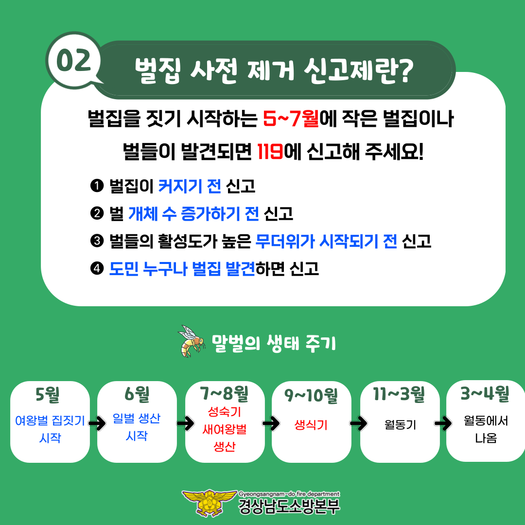 벌집 사전 제거 신고제 안내문. 2024.3.11. 경남소방본부 제공