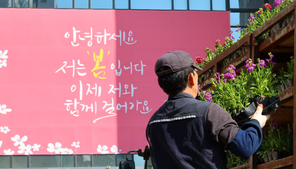 13일 오전 인천 부평구청 잔디밭에서 구청 관계자들이 거리 화단에 심을 봄꽃을 옮기고 있다. 봄꽃 뒤로 공감글판 봄편이 걸려 있다. 2024.3.13 연합뉴스