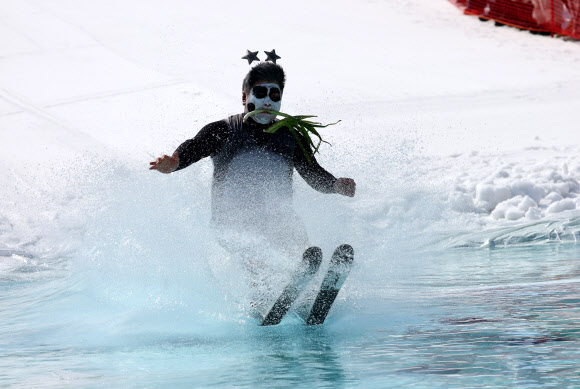봄기운이 완연한 16일 강원 평창군 모나용평(용평스키장)에서 열린 물웅덩이 건너기 이색 이벤트인 ‘발왕수플래시’ 행사에서 푸바오 복장의 스키어가 물웅덩이를 건너고 있다. 2024.3.16 연합뉴스