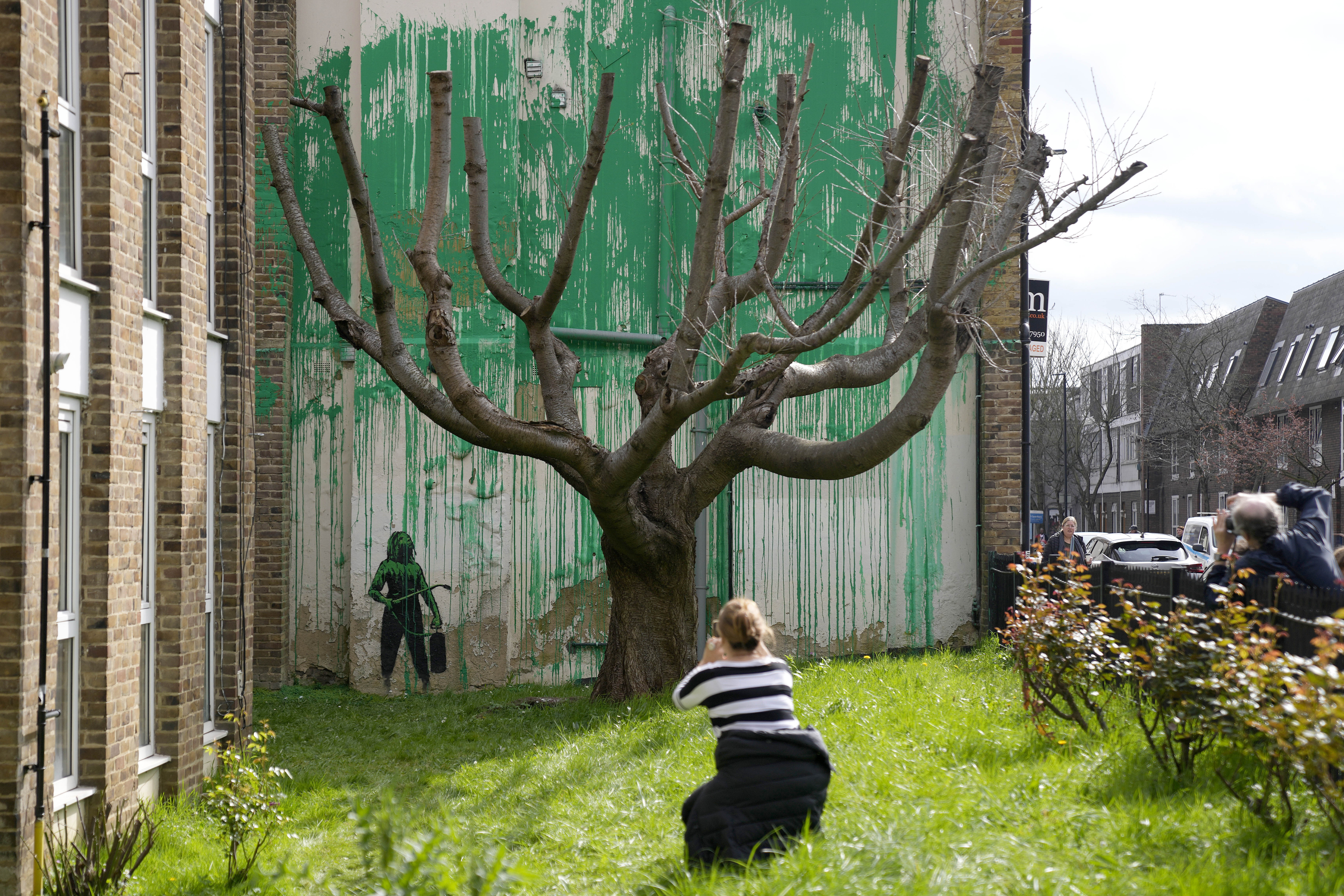 영국 런던 북부 핀스베리 공원 인근에 있는 한 건물에 ‘얼굴 없는 화가’ 뱅크시가 그린 벽화가 등장했다. 사진은 한 여성이 가지만 남은 나무의 초록색 잎을 표현한 듯한 뱅크시 벽화 앞에서 사진을 찍는 모습. AP 뉴시스