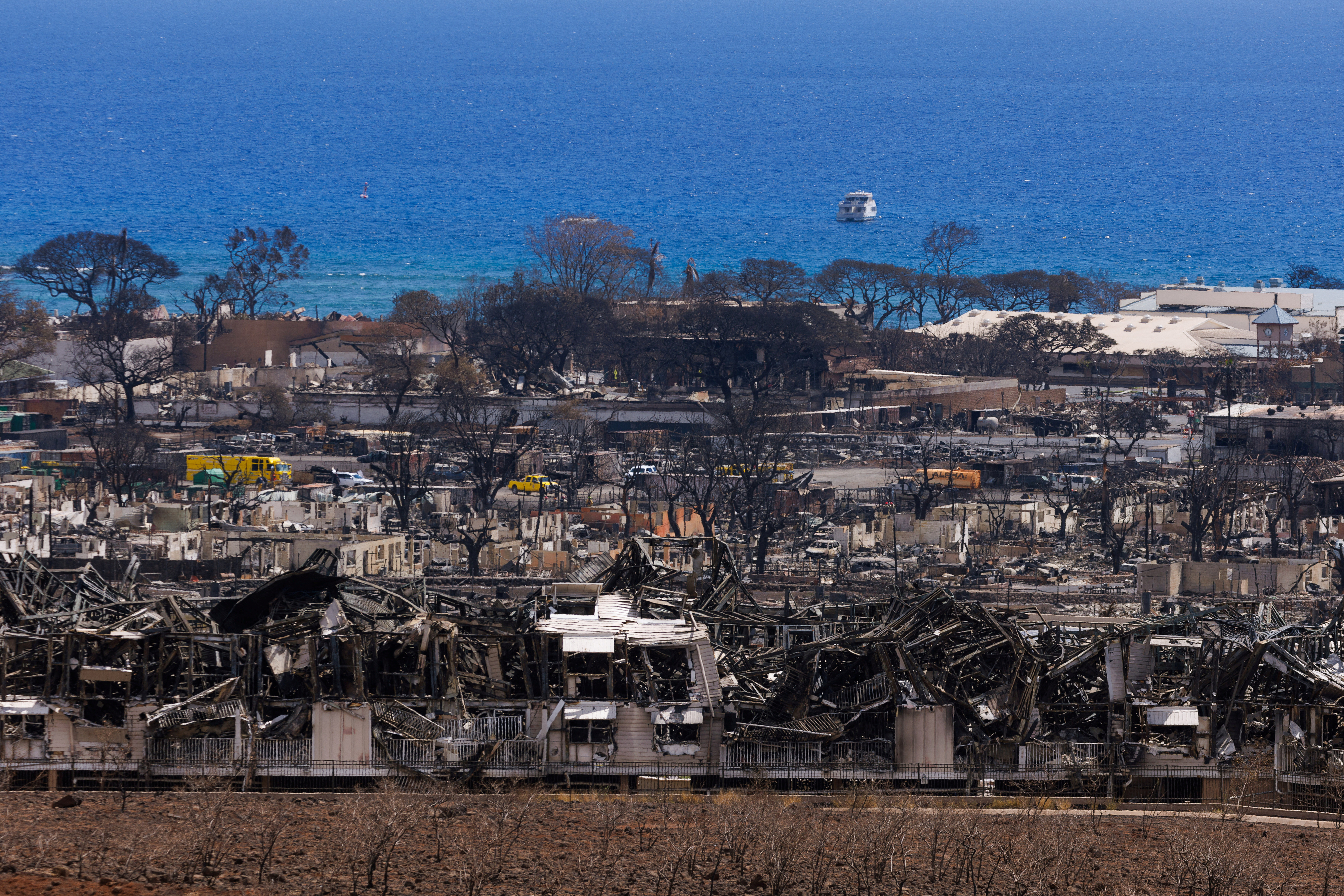 지난해 8월 미국 하와이 마우이섬에서 발생한 화재로 숲과 민가가 그을려 있다. 로이터 연합뉴스