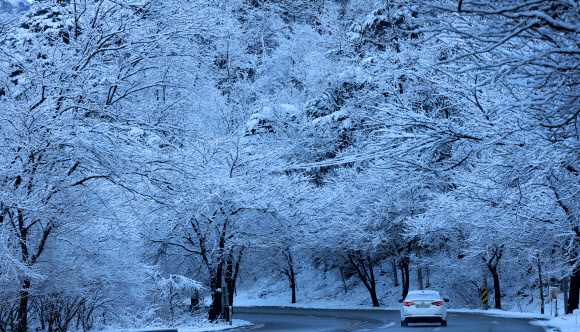 20일 강원 강릉시 성산면 대관령 일원에 20㎝가 넘는 많은 눈이 내린 가운데 차들이 조심스럽게 운행하고 있다. 2024.3.20  연합뉴스