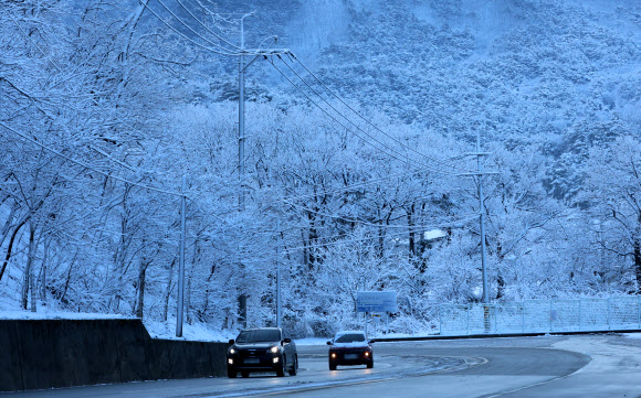 20일 강원 강릉시 성산면 대관령 일원에 20㎝가 넘는 많은 눈이 내린 가운데 차들이 조심스럽게 운행하고 있다. 2024.3.20  연합뉴스