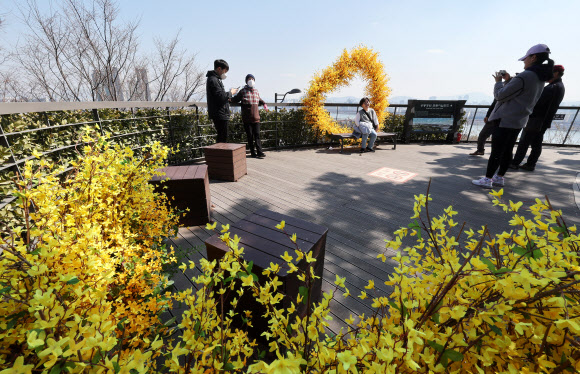 오후로 접어들면서 다소 포근해진 21일 개나리로 유명한 서울 성동구 응봉산을 찾은 시민들이 모형 개나리 포토존에서 기념촬영을 하고 있다. 2024.3.21 연합뉴스