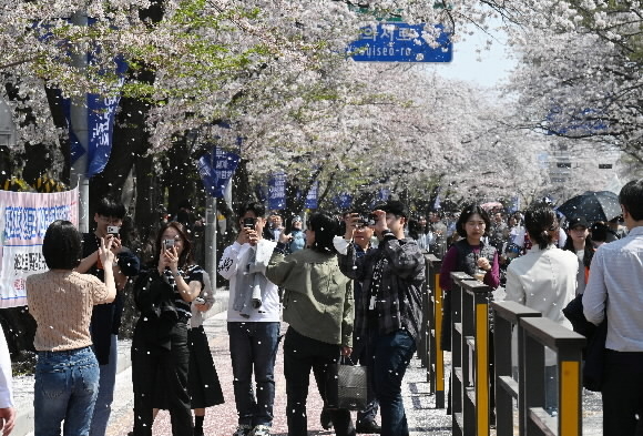 지난해 서울 영등포구 여의도에서 벚꽃구경을 즐기는 시민들. 서울신문 DB
