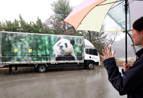 3일 오전 경기도 용인시 에버랜드에서 직원들이 중국으로 떠나는 푸바오를 싣고 있는 무진동 특수 차량을 보며 배웅하고 있다. 2024.4.3 연합뉴스