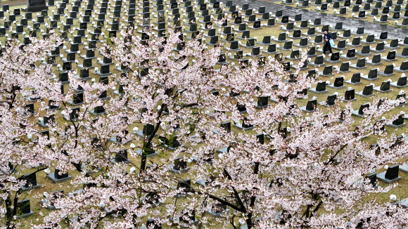 제76주년 제주4·3희생자추념일인 3일 오전 제주시 봉개동 4·3평화공원 내 행방불명인 표석을 찾은 유족이 희생자의 넋을 기리고 있다. 2024.4.3 연합뉴스