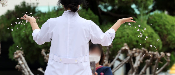 ‘벚꽃 엔딩’…의정갈등은 언제까지?