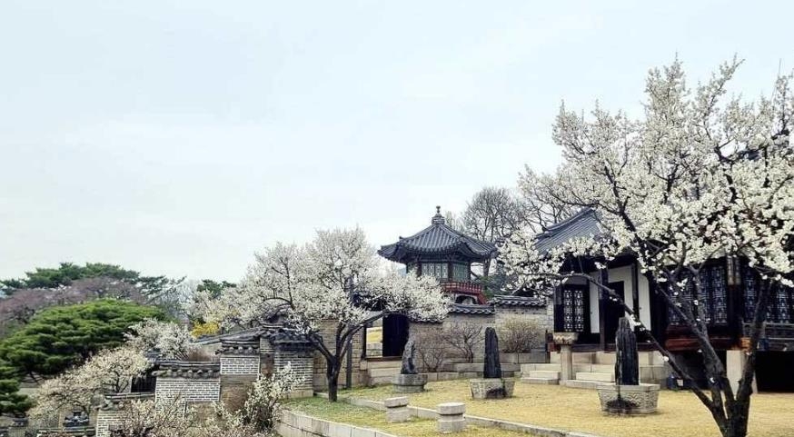 문화재청 궁능유적본부, 22∼28일 낙선재 후원 일대 개방