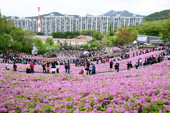 2024 불암산 철쭉제