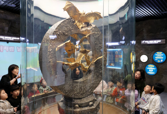 24일 전남 함평군 함평엑스포공원을 찾은 한 유치원 아이들이 순금으로 만든 황금박쥐상을 바라보고 있다.  2008년 30억원을 들여 순금 162kg을 넣어 제작한 함평 황금박쥐상은 지난 3월 어두컴컴한 동굴전시장을 떠나 공원 내 문화유물전시관으로 옮겨왔다. 현재 150억원가량의 가치를 지닌 것으로 추정된다. 2024.4.24 연합뉴스