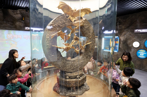 24일 전남 함평군 함평엑스포공원을 찾은 한 유치원 아이들이 순금으로 만든 황금박쥐상을 바라보고 있다.  2008년 30억원을 들여 순금 162kg을 넣어 제작한 함평 황금박쥐상은 지난 3월 어두컴컴한 동굴전시장을 떠나 공원 내 문화유물전시관으로 옮겨왔다. 현재 150억원가량의 가치를 지닌 것으로 추정된다. 2024.4.24 연합뉴스