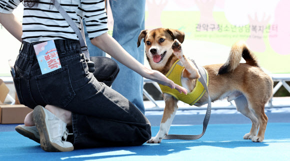 ‘주인님과 하이파이브!’