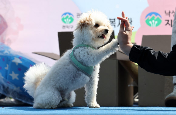 ‘주인님과 하이파이브!’