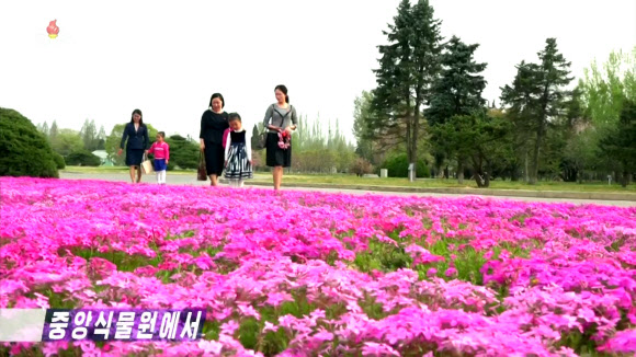 북한의 대표식물원인 중앙식물원에 봄꽃들이 만발했다고 조선중앙TV가 28일 방영했다. TV는 이곳 중앙식물원은 4-6월 사이 꽃들이 만개하여 북한 주민들이 즐겨 찾고 있다고 소개했다.봄을 맞아 식물원을 찾은 북한 주민들의 모습. 2024.4.28  연합뉴스