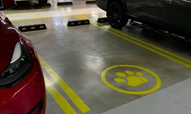 경기도의 한 쇼핑센터 주차장에 ‘강아지 발바닥’ 표시가 등장했다. ‘강아지 발바닥’ 모양이 있다. 뉴시스