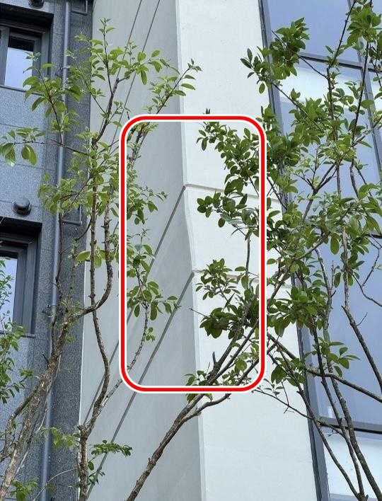 외벽이 휜 듯한 전남 무안군의 한 신축아파트 외관. 보배드림 캡처