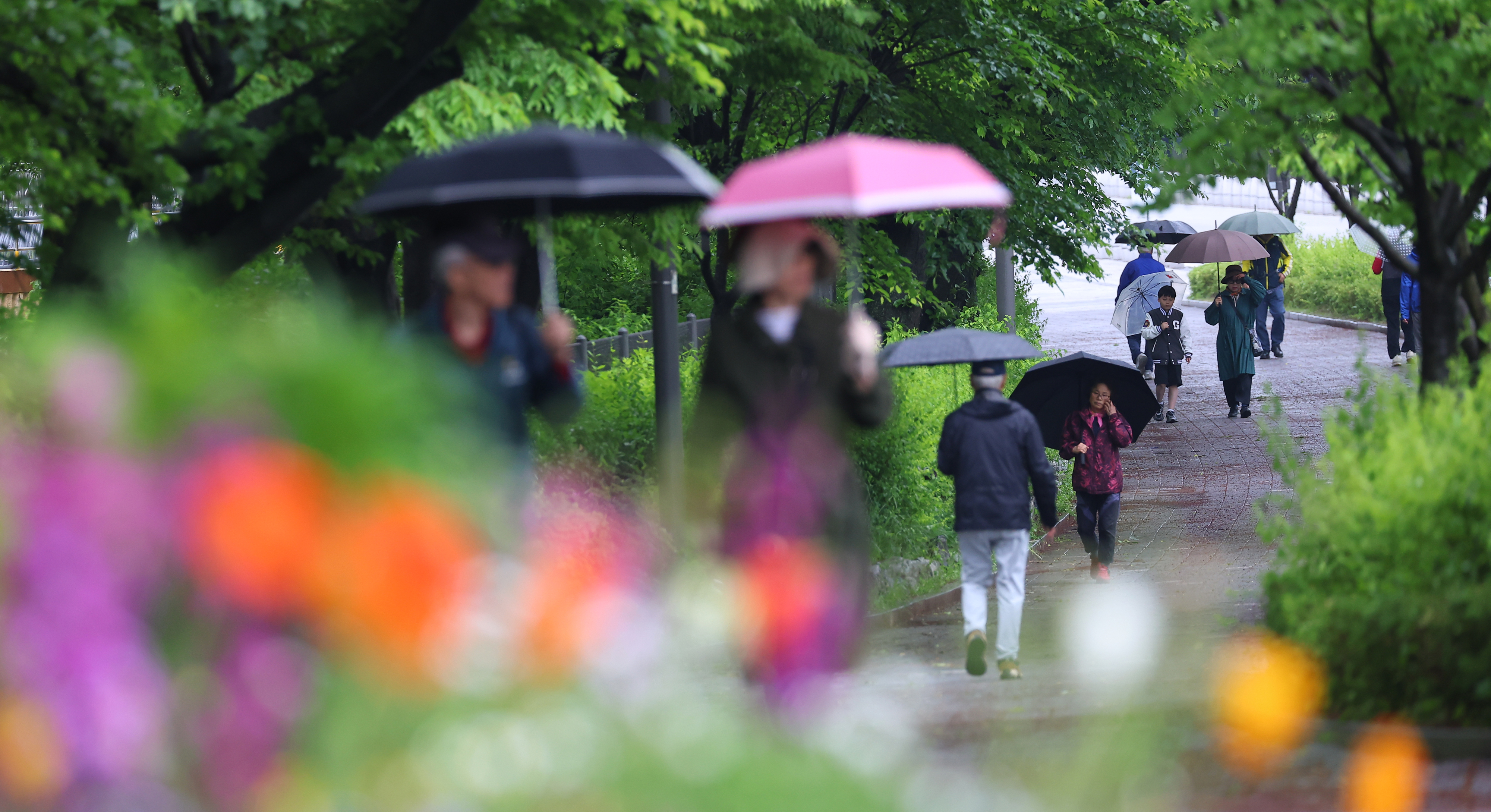 연휴 마지막 날인 6일 비가 내린 경기도 과천시 서울대공원을 찾은 시민들이 우산을 쓰고 걸어가고 있다. 연합뉴스