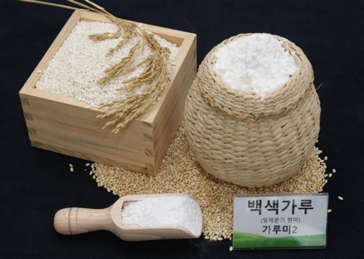 농촌진흥청이 개발한 가루쌀 품종 가루미.농촌진흥청 제공