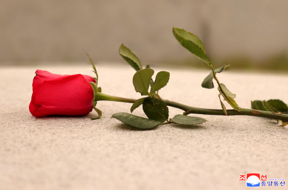 김정은 북한 국무위원장이 후계자 시절 자신의 스승인 고 현철해 사망 2주기를 맞아 지난 19일 직접 묘소를 참배하고 추모했다. 20일 조선중앙통신은 김 위원장이 전날 오후 신미리애국열사능을 찾아 현철해 묘소에 꽃송이를 진정했다고 보도했다. 2024.5.20 평양 조선중앙통신=연합뉴스)