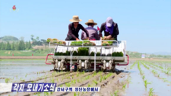 북한의 각지 농업부문 일꾼들과 농업근로자들이 한해 농사에서 중요한 모내기를 적기에 질적으로 끝내기 위한 투쟁을 힘있게 벌이고 있다고 조선중앙TV가 21일 보도했다. 2024.5.21 조선중앙TV 화면
