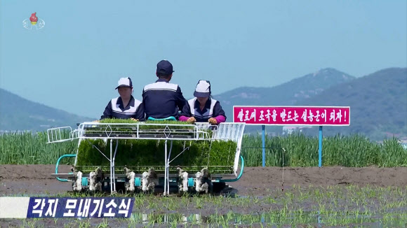북한의 각지 농업부문 일꾼들과 농업근로자들이 한해 농사에서 중요한 모내기를 적기에 질적으로 끝내기 위한 투쟁을 힘있게 벌이고 있다고 조선중앙TV가 21일 보도했다. 2024.5.21 조선중앙TV 화면