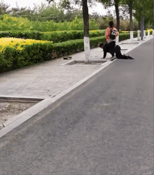 중국의 종씨가 촬영한 영상. 아이폰을 사달라는 딸에 아버지가 자책하며 무릎을 꿇고 있는 것으로 전해졌다. 웨이보 캡처