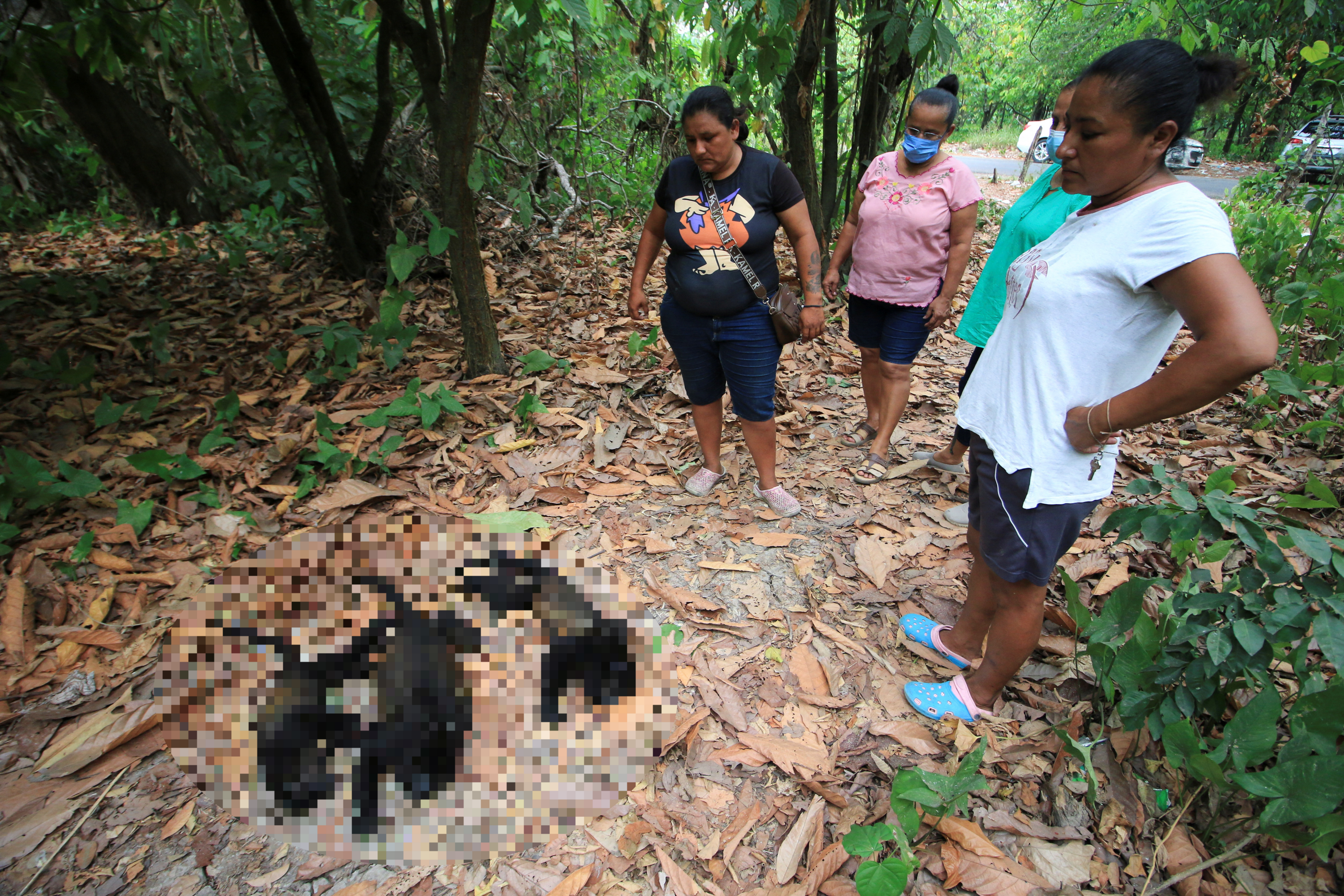 지난 18일 멕시코 타바스코주 코말칼코의 한 숲에서 자원봉사자들이 고온으로 사망한 원숭이를 바라보고 있다. 로이터 연합뉴스