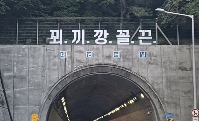 부산 도시고속도로 대연터널 위 ‘꾀끼깡꼴끈’ 문구. 온라인 커뮤니티 캡처