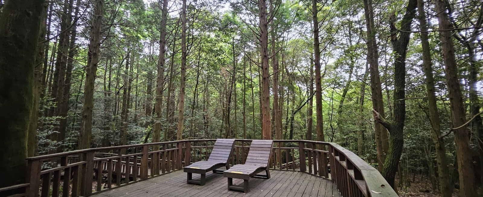 서귀포 치유의 숲 숲멍 때리는 나무베드 쉼터. 제주 강동삼 기자