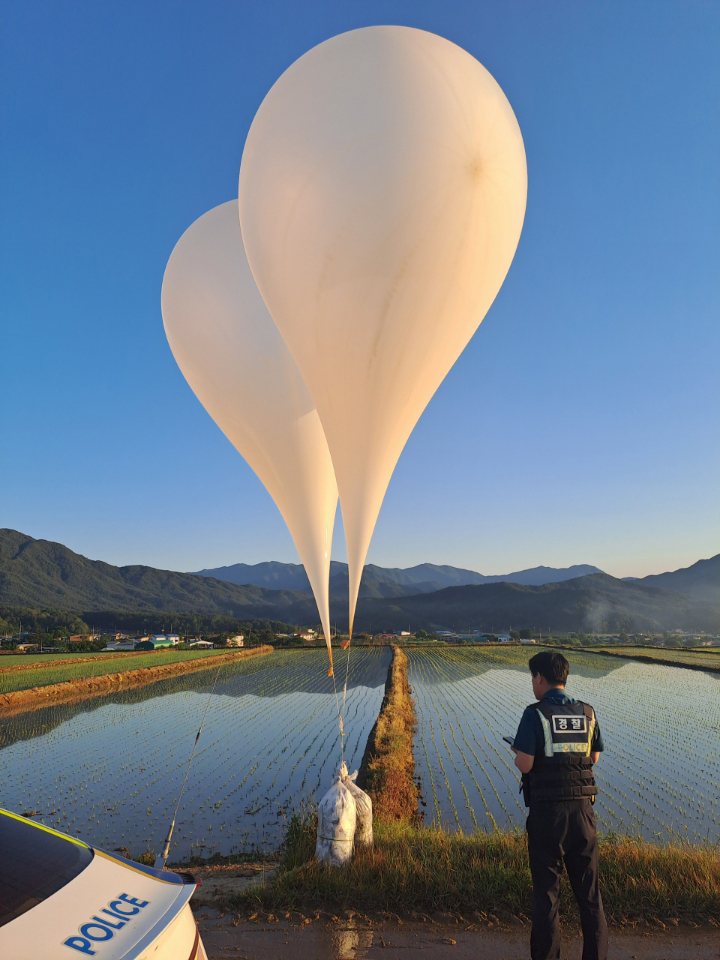 29일 경남 거창군 위천면 상천리의 한 논에서 경찰이 북한의 대남 전단 살포용 풍선을 조사하고 있다. 전날 밤 날아온 이 풍선은 수도권·강원 등에 이어 경남과 전북 등 남쪽 지역에서도 발견됐다. 대부분 흰색 풍선 안에 거름과 쓰레기 등 오물이 들어 있는 형태였는데 내용물이 없는 풍선도 있었다.  거창 뉴스1