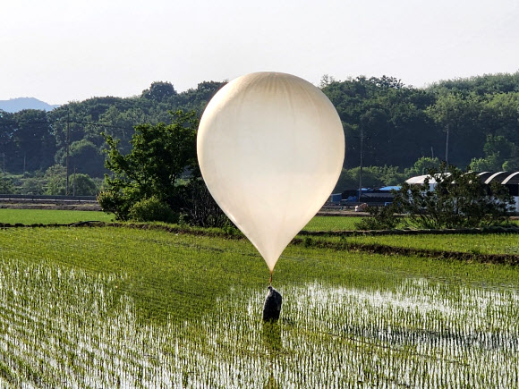 모내기 마친 논에서 발견된 대남전단