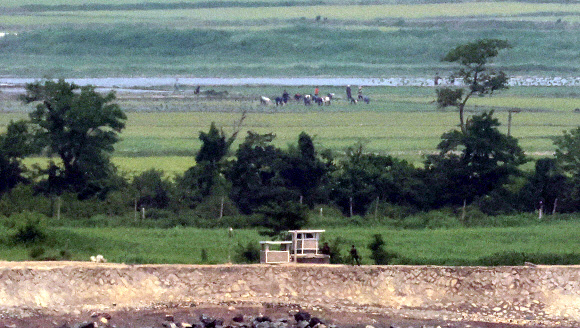 10일 오후 인천 강화군 강화평화전망대에서 바라본 북한 황해도 개풍군 마을에서 늦은 모내기를 하는 주민들 앞으로 북한 초소가 보인다. 2024.6.10. 연합뉴스