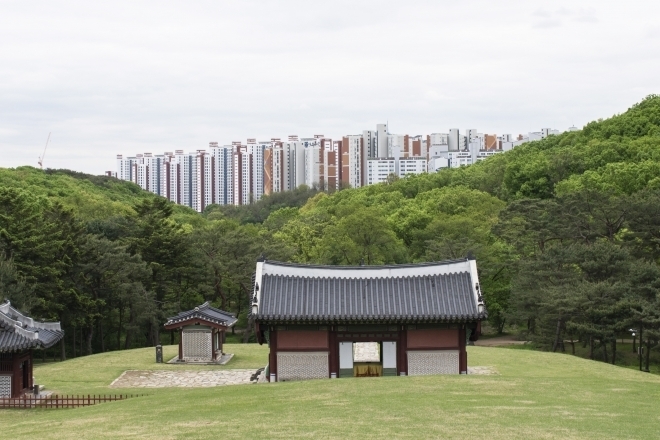 김포 장릉에서 정면으로 바라본 모습. 아파트 단지가 빼곡하게 들어서 있다. 2022.4.30 류재민 기자