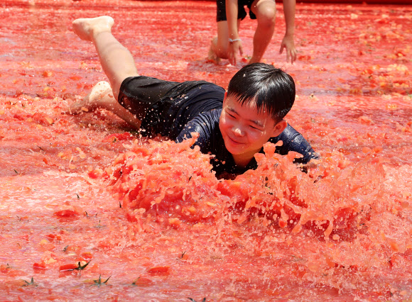 16일 오후 경기도 광주시 퇴촌면 광동로 일원에서 열린 ‘제22회 퇴촌 토마토 축제’에서 ‘황금 토마토를 찾아라’ 이벤트에 참가한 어린이들이 토마토 풀장에서 즐거워하고 있다. 2024.6.16  연합뉴스