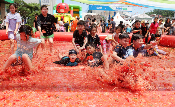 16일 오후 경기도 광주시 퇴촌면 광동로 일원에서 열린 ‘제22회 퇴촌 토마토 축제’에서 ‘황금 토마토를 찾아라’ 이벤트에 참가한 어린이들이 토마토 풀장에서 즐거워하고 있다. 2024.6.16  연합뉴스