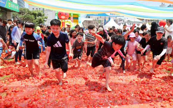 16일 오후 경기도 광주시 퇴촌면 광동로 일원에서 열린 ‘제22회 퇴촌 토마토 축제’에서 ‘황금 토마토를 찾아라’ 이벤트에 참가한 어린이들이 토마토 풀장에서 즐거워하고 있다. 2024.6.16  연합뉴스