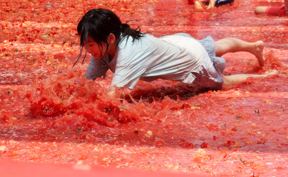 16일 오후 경기도 광주시 퇴촌면 광동로 일원에서 열린 ‘제22회 퇴촌 토마토 축제’에서 ‘황금 토마토를 찾아라’ 이벤트에 참가한 어린이들이 토마토 풀장에서 즐거워하고 있다. 2024.6.16  연합뉴스