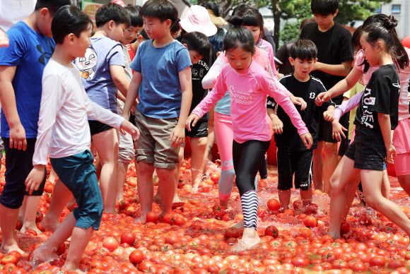 16일 오후 경기도 광주시 퇴촌면 광동로 일원에서 열린 ‘제22회 퇴촌 토마토 축제’에서 ‘황금 토마토를 찾아라’ 이벤트에 참가한 어린이들이 토마토 풀장에서 즐거워하고 있다. 2024.6.16  연합뉴스