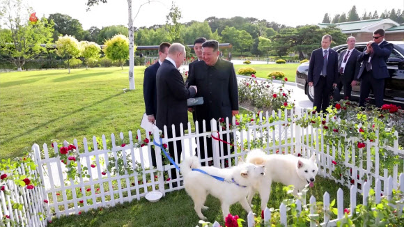 김정은 북한 국무위원장이 지난 19일 금수산영빈관 정원에서 푸틴 러시아 대통령에게 북한의 국견인 풍산개 한 쌍을 선물했다고 조선중앙TV가 20일 보도했다.  2024.6.20  조선중앙TV 화면