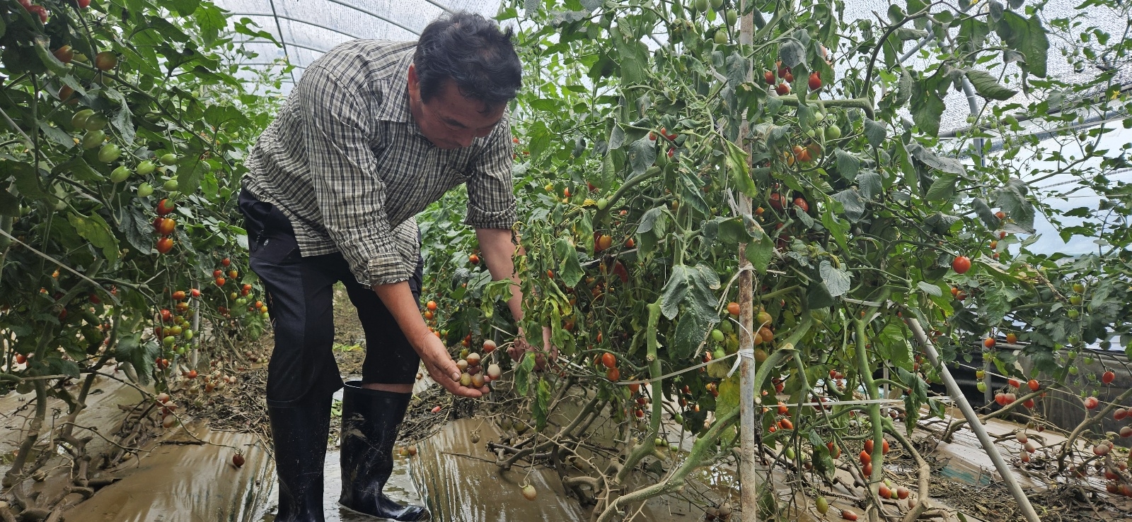 “건질 수 있는 게 하나도 없어요”