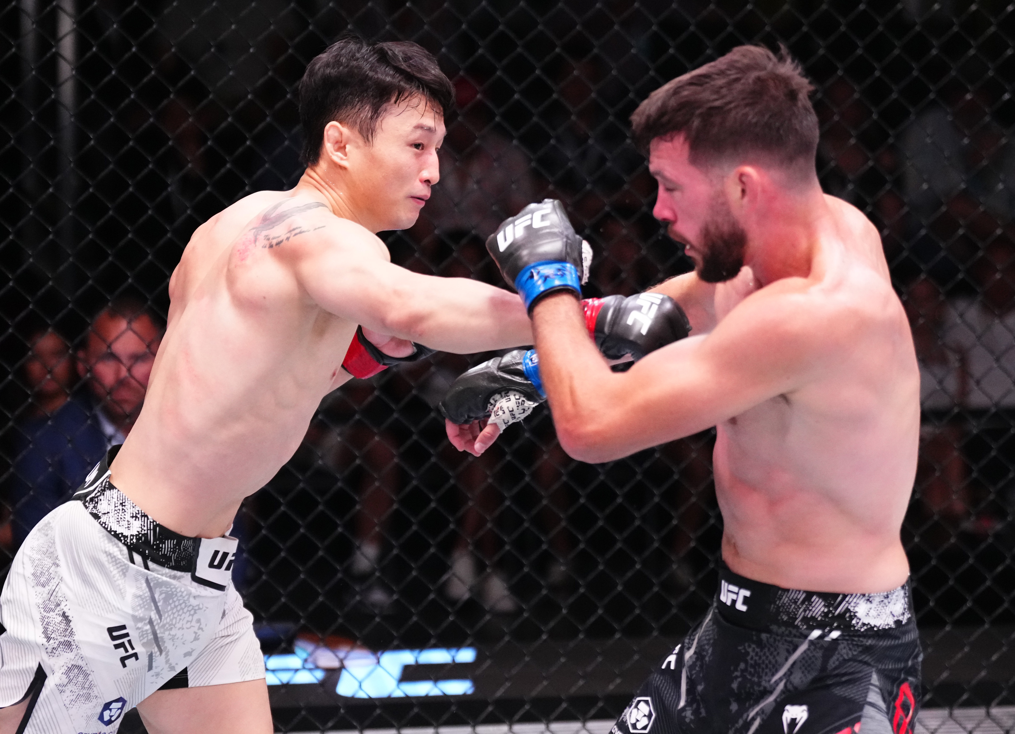 최두호가 21일 UFC 경기에서 빌 알지오에게 주먹을 날리고 있다. UFC 코리아 제공