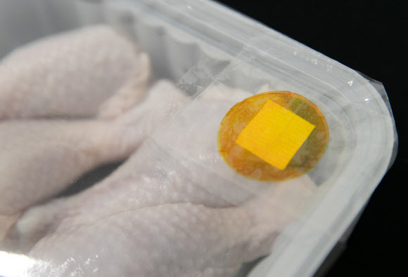 농촌진흥청은 닭고기의 신선도를 알려주는 필름을 개발했다고 30일 밝혔다.  사진 우측에 있는 노란색 필름은 닭고기의 부패가 진행되면 녹색으로 변한다. 2024.7.30  농촌진흥청 제공