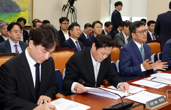 답변하는 구영배 큐텐 대표