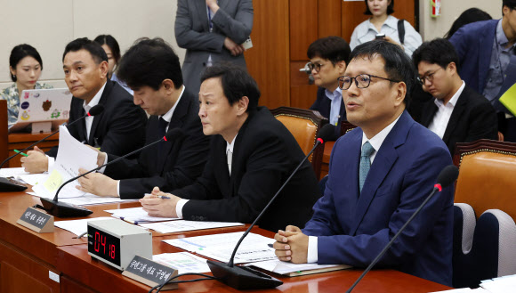 의원 질의에 답변하는 구영배 큐텐 대표