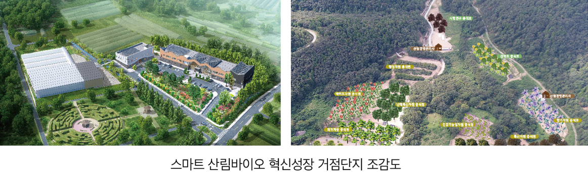 스마트 산림바이오 혁신성장 거점단지 조감도.