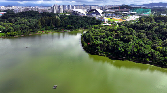 광주 풍암호수에 확산하는 녹조