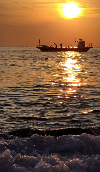 14일째 열대야가 계속된 2일 강원 강릉시 경포해수욕장 앞바다에서 어민들이 이른 아침부터 조업하고 있다. 2024.8.2 연합뉴스
