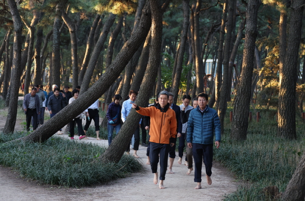 도시숲에서 맨발 걷기